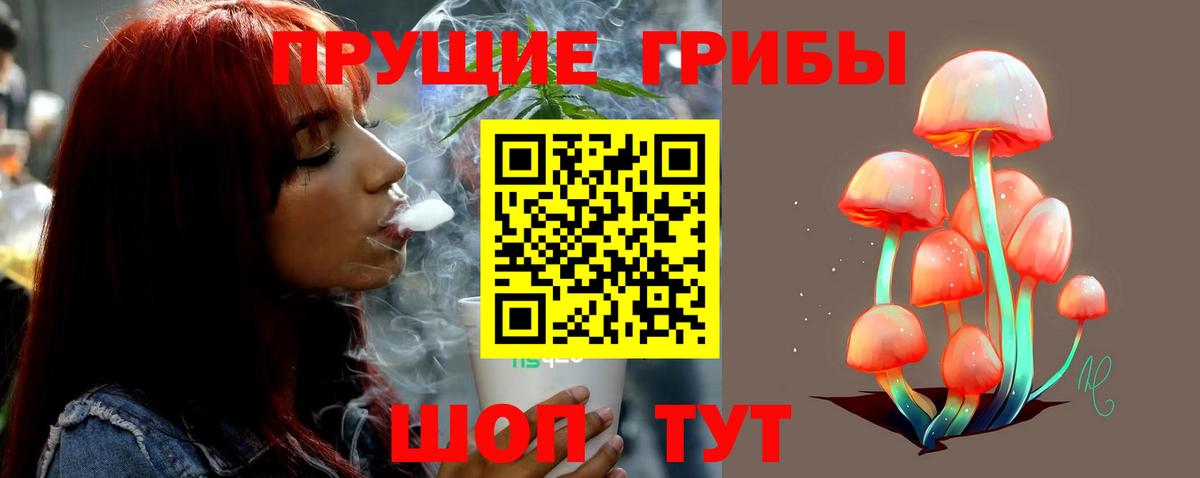 Красноярск  Галлюциногенные грибы Cubensis  Вход с VPN 